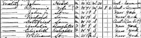 meditz 1910 census